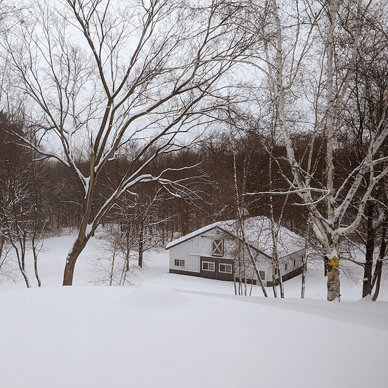 snowy_barn_crop.jpg